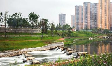 什么是城市生命线工程？该如何建设？