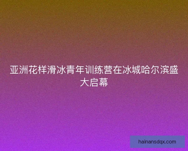 亚洲花样滑冰青年训练营在冰城哈尔滨盛大启幕 亚洲花样滑冰青年训练营在冰城哈尔滨盛大启幕