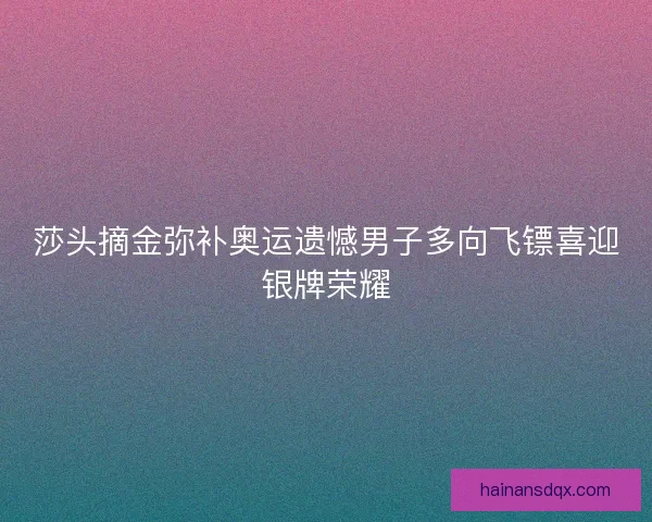 莎头摘金弥补奥运遗憾男子多向飞镖喜迎银牌荣耀 莎头摘金弥补奥运遗憾男子多向飞镖喜迎银牌荣耀